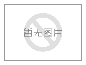 高壓高能實體電阻